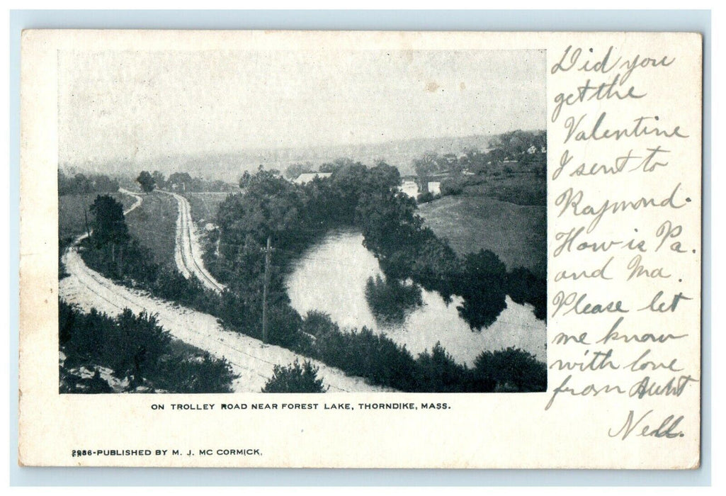 1908 On Trolley Road Near Forest Lake Thorndike Massachusetts MA Postcard