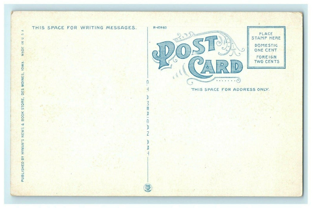 Bird's Eye View Locust Street Capitol Des Moines Iowa Vintage Antique Postcard