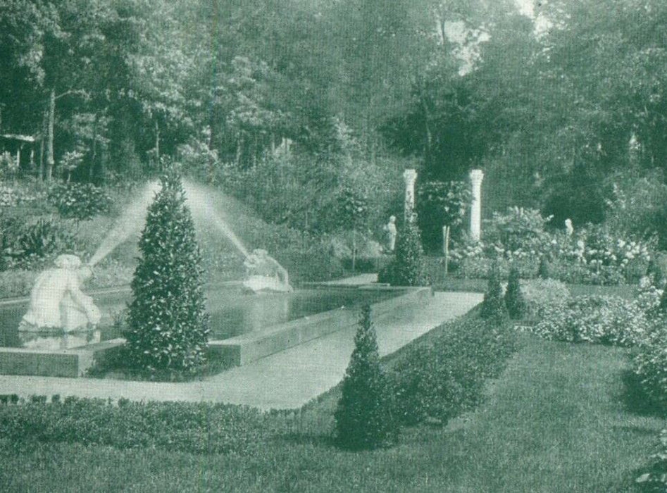 1907 Canfield's Park Fountain View Saratoga Springs New York NY Antique Postcard