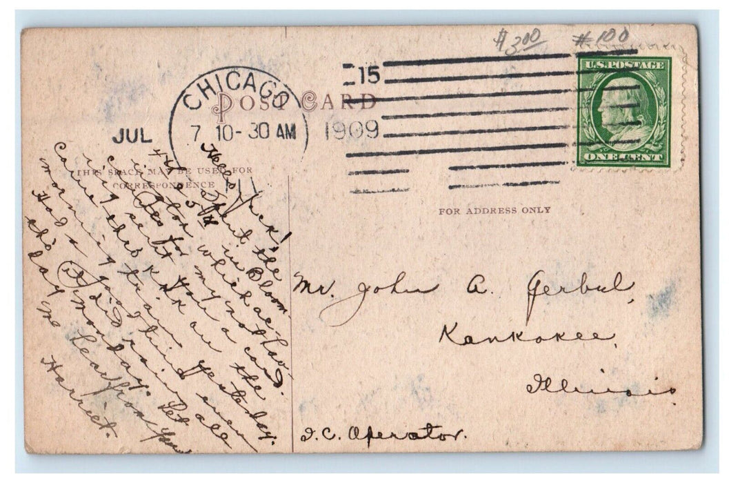 1909 Picnic Grounds Lake Park Bloomington Illinois IL Posted Antique Postcard
