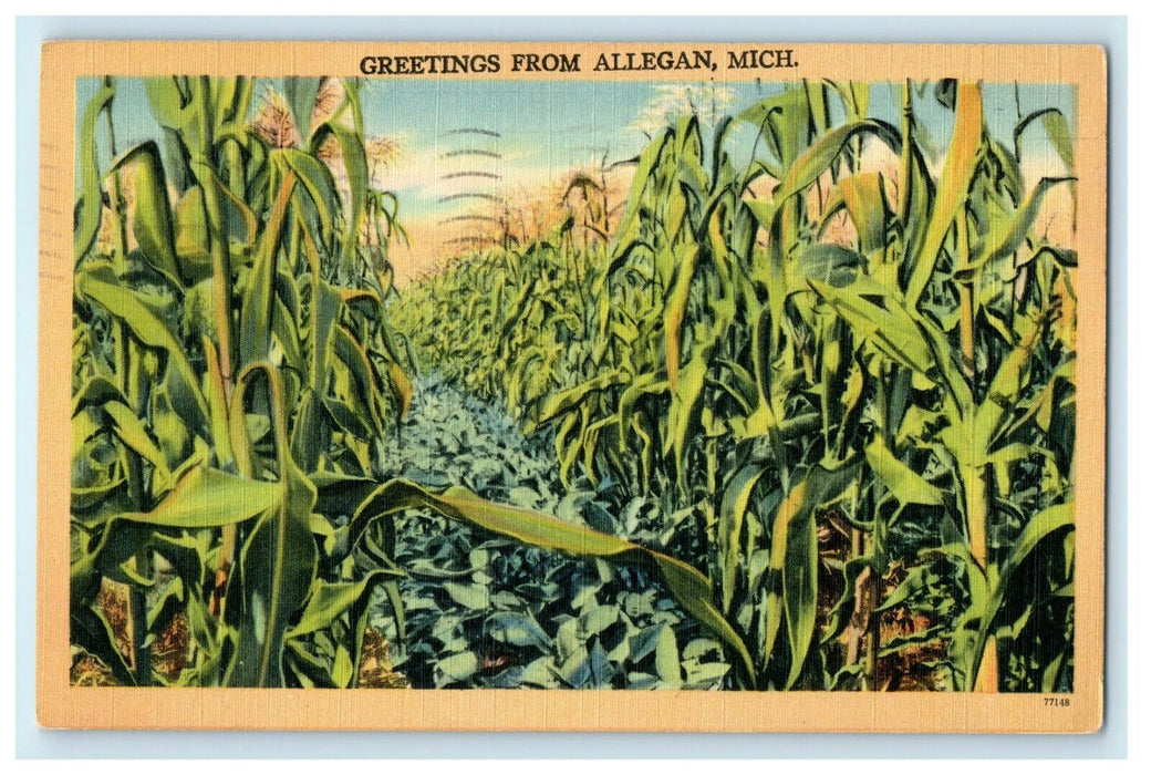 1948 Grass View, Greetings from Allegan Michigan MI Vintage Postcard