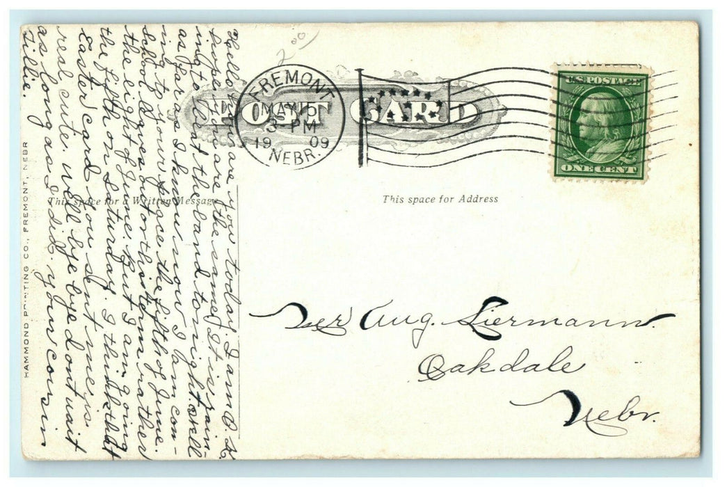 Dodge County Court House Fremont Nebraska 1909 Oakdale Antique Postcard
