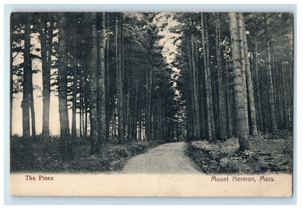 1909 The Pines Mount Hermon Massachusetts MA Frissell & Kellogg Postcard