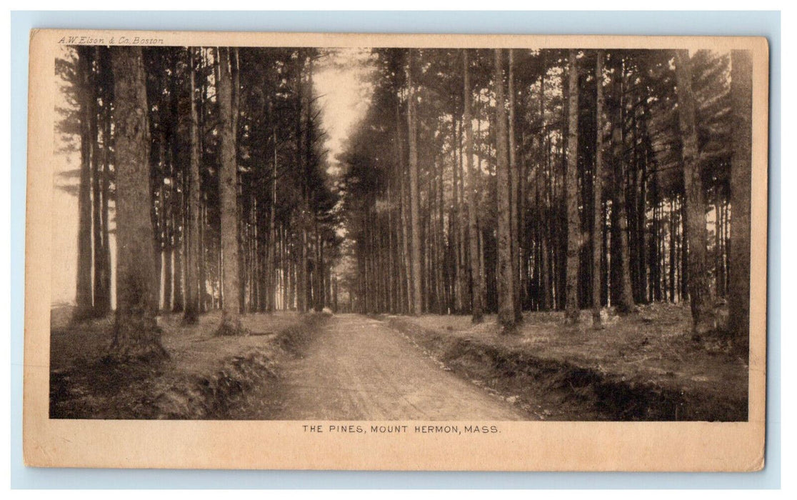 1912 The Pines Mount Hermon Massachusetts MA Posted Antique Postcard
