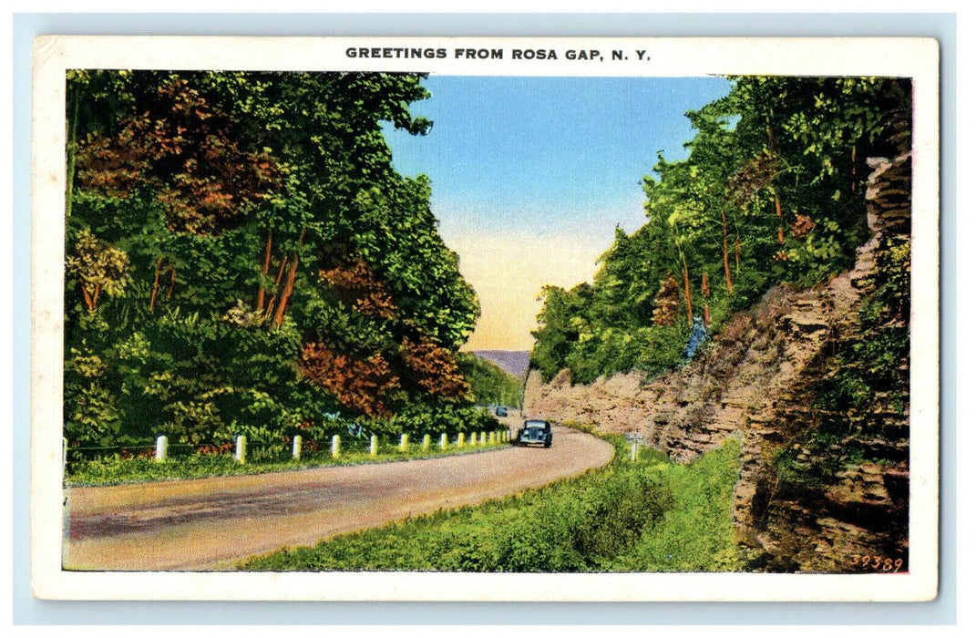 1927 Greetings from Rosa Gap New York NY Antique Unposted Postcard