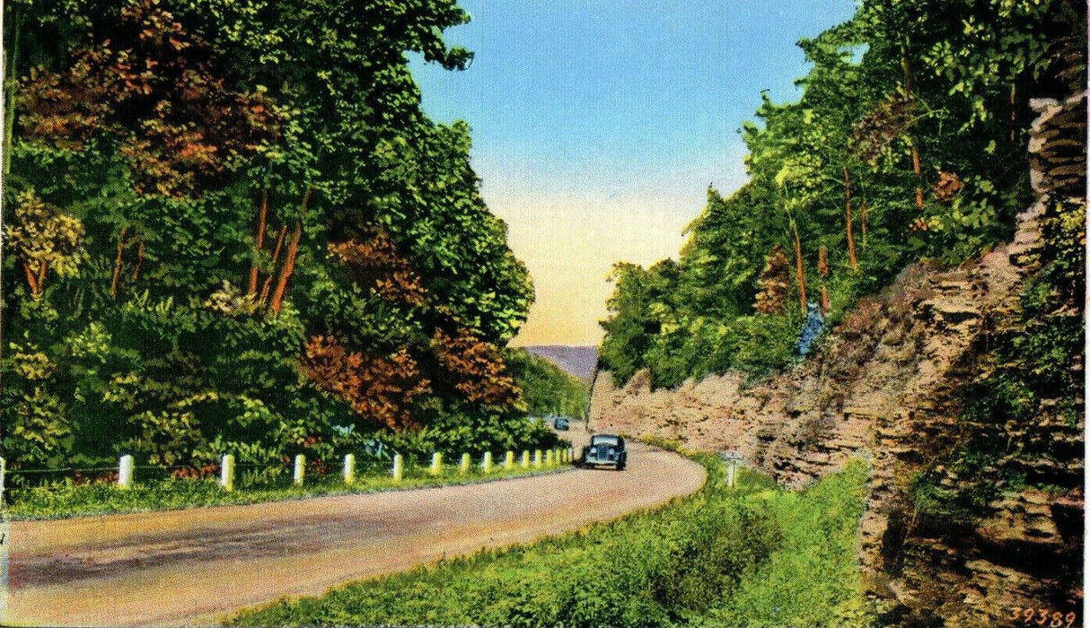 1927 Greetings from Rosa Gap New York NY Antique Unposted Postcard