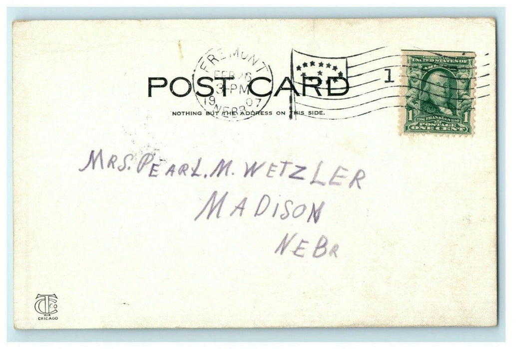 Dodge County Court House Fremont Nebraska 1907 Madison Vintage Antique Postcard