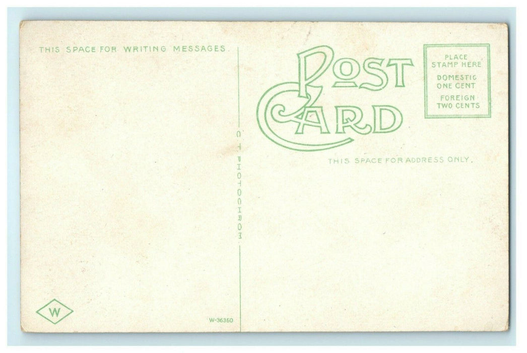 Beautiful Central Park Winona Minnesota Circa 1910 Vintage Antique Postcard