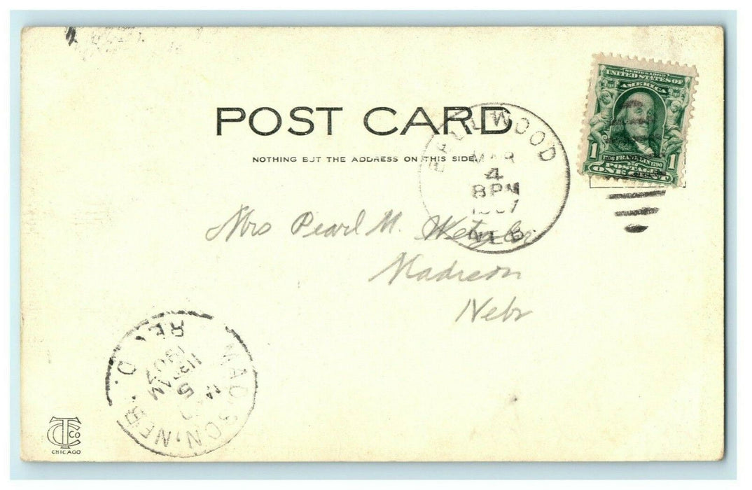 Fremont City Park Nebraska 1907 Madison Vintage Antique Postcard