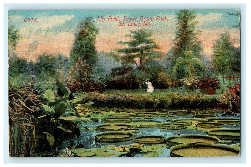 1914 Lily Pond, Tower Grove Park, St. Louis Missouri MO Antique Postcard