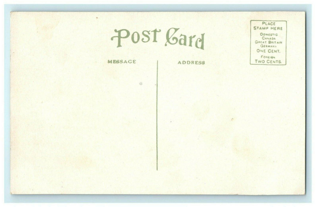 Sugar Loaf Mountain Winona Minnesota Unposted Vintage Antique Postcard