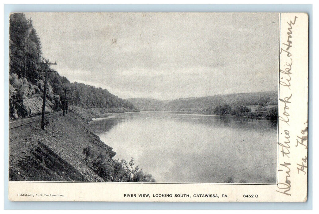 1906 River View Looking South Catawissa Pennsylvania PA Posted Antique Postcard