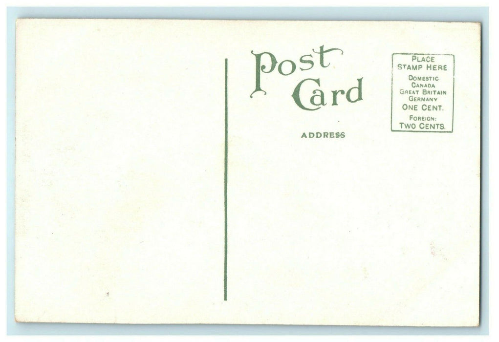 Winona General Hospital Minnesota Circa 1910 Vintage Antique Postcard