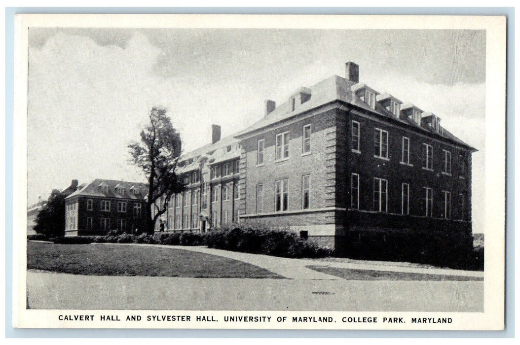 c1940 Calvert Hall Sylvester Hall University Maryland Collage Park MD Postcard