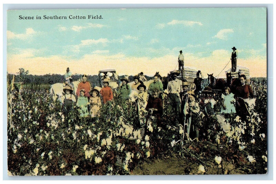 c1910's Scene In Southern Cotton Field Farmers And Horses Antique Postcard