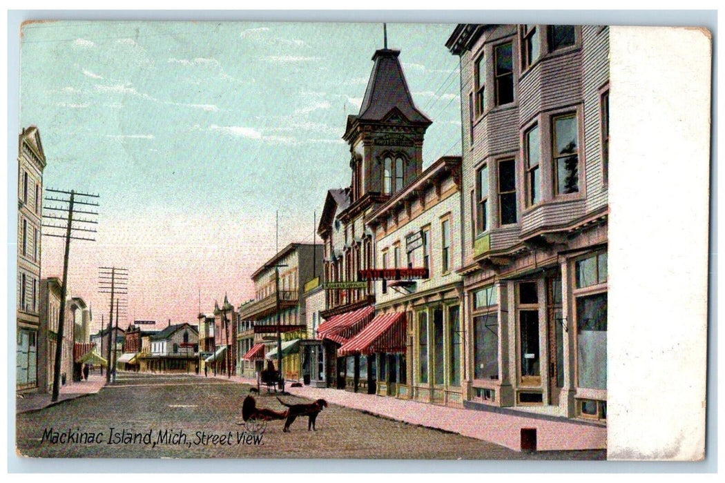1909 Street View Tailor Shop Stores Dog Mackinac Island Vernon MI Postcard