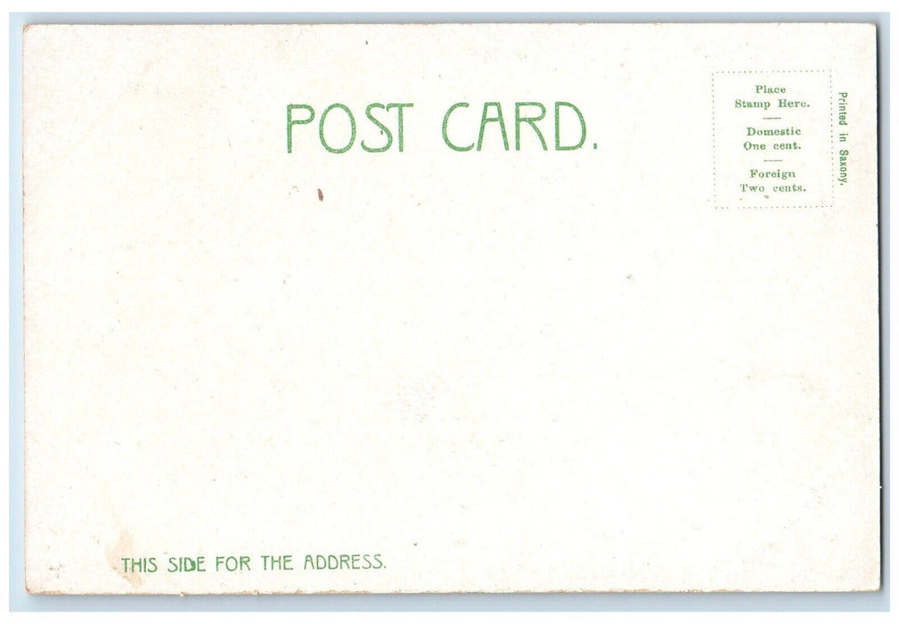 c1905 Potomac Ave Street Fence House Exterior Road Hagerstown Maryland Postcard