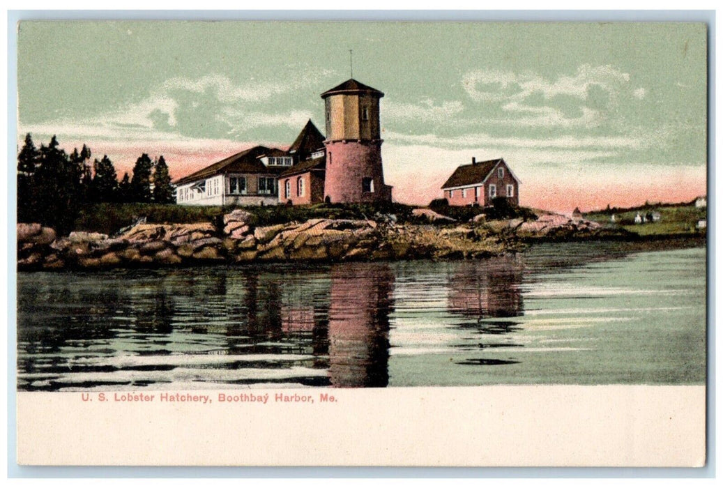 c1905 U. S. Lobster Hatchery Boothbay Harbor Maine ME Posted Antique Postcard