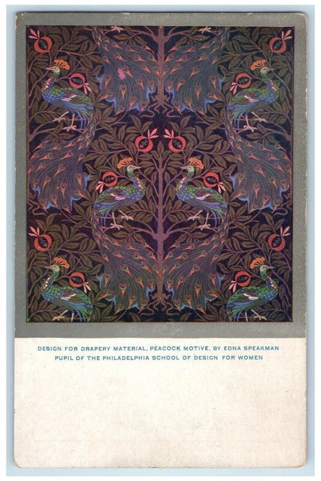 Peacock Motive By Edna Speakman Pupil Of Philadelphia School Design PA Postcard