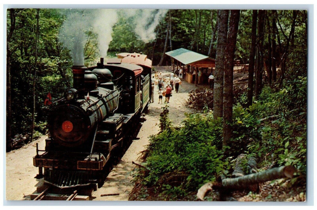c1960 Tweetsie Cherokee Picnic Area Train Railway NY Locomotive Antique Postcard