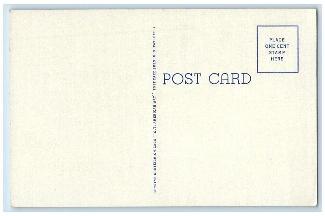 c1940's Rays Ornamental Gardens Stephenville Texas TX Unposted Antique Postcard