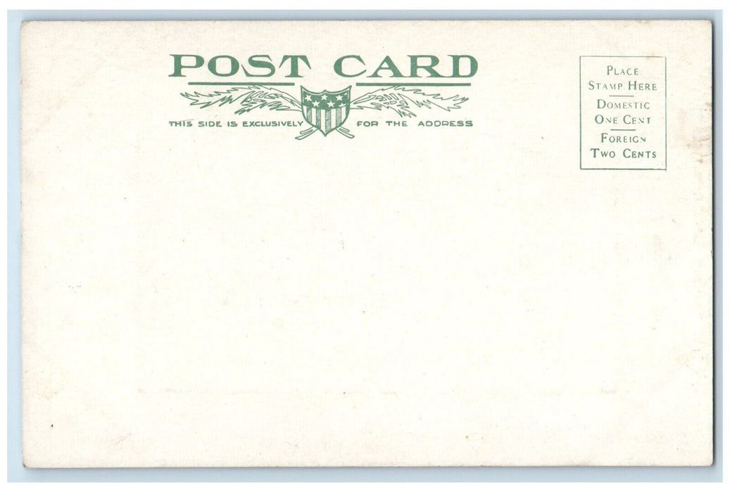 c1905 Water Fall in Water Fall Canyon Utah UT Antique Unposted Postcard