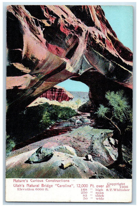 c1905 Nature's Curious Constructions Utah Natural Bridge "Carolina" UT Postcard