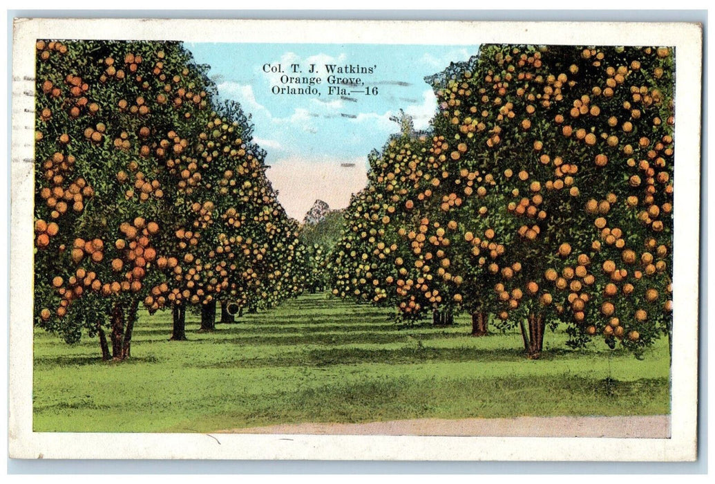 1921 Col. T.J. Watkins Orange Grove Orlando Florida FL Antique Postcard