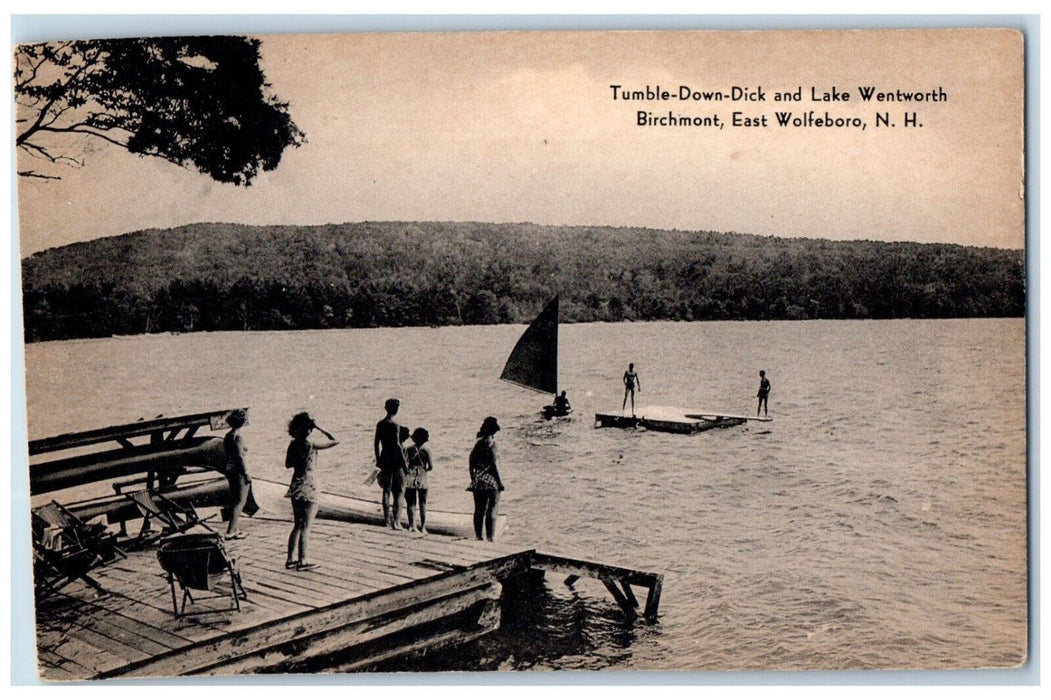 c1960's Tumble-Down-Dick Birchmont East Wolfeboro New Hampshire NH Postcard