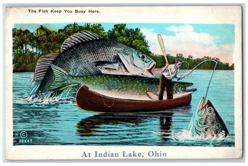 1933 Fish Keep Busy Here Indian Lake Exaggerated Russells Point Ohio OH Postcard