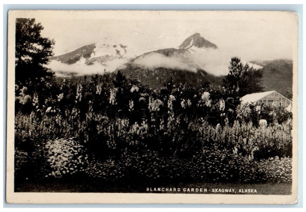 c1910's View Of Blanchard Garden Skagway Alaska AK RPPC Photo Antique Postcard