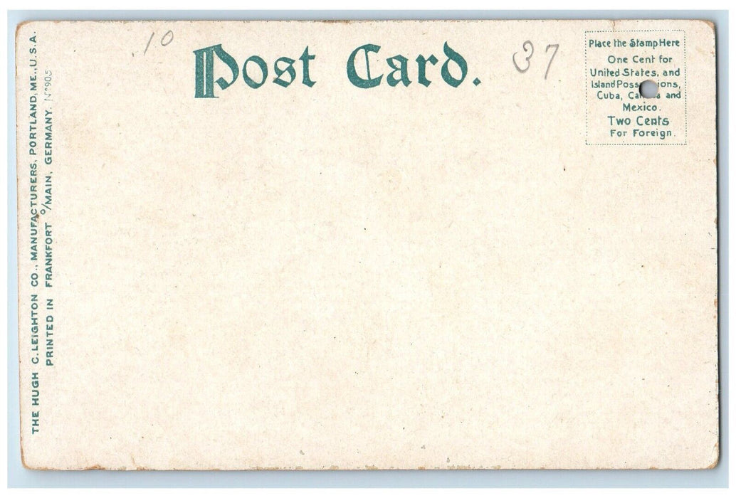 c1905 Morning's Catch In The Adirondacks New York NY, Fishes Antique Postcard