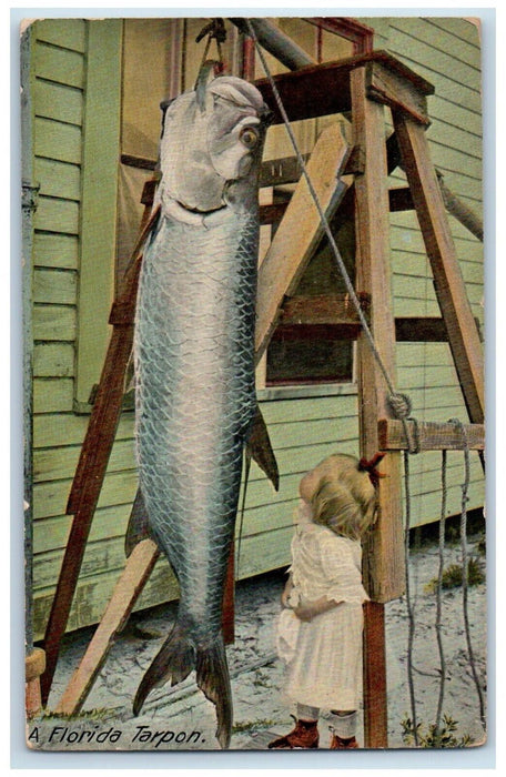 c1910's A Florida Tarpon Exaggerated Fish Little Girl FL Posted Antique Postcard