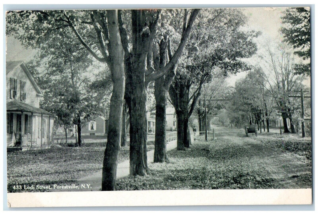 c1910's Lodi Street Dirt Road Horse Carriage Forestville New York NY Postcard