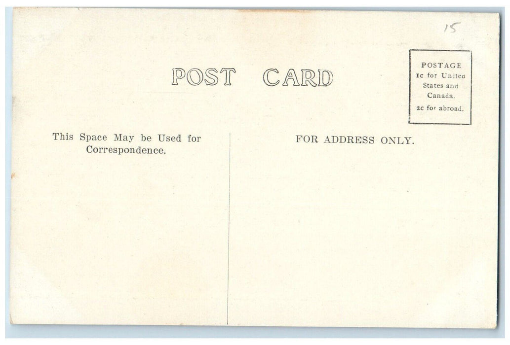c1910's Lodi Street Dirt Road Horse Carriage Forestville New York NY Postcard
