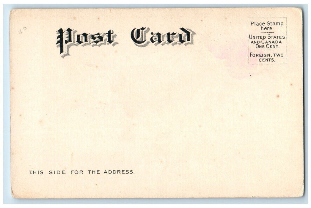 c1905 At Contoocook River Park Concord New Hampshire NH Postcard