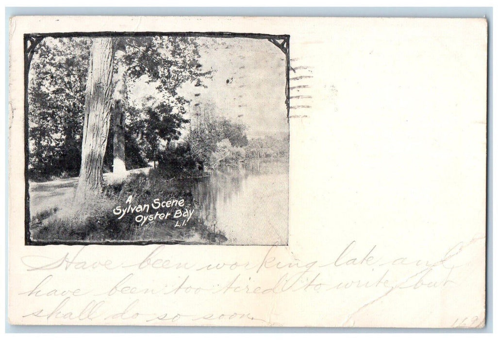 1904 A Sylvan Scene Oyster Bay Long Island New York NY Posted Antique Postcard