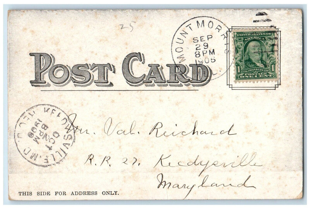 1905 College Campus Building Dirt Road And Trees Mt. Morris Illinois IL Postcard