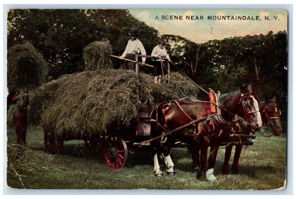 1907 Mountaindale Horse Carriage Harvest Farming Hay Stack New York NY Postcard