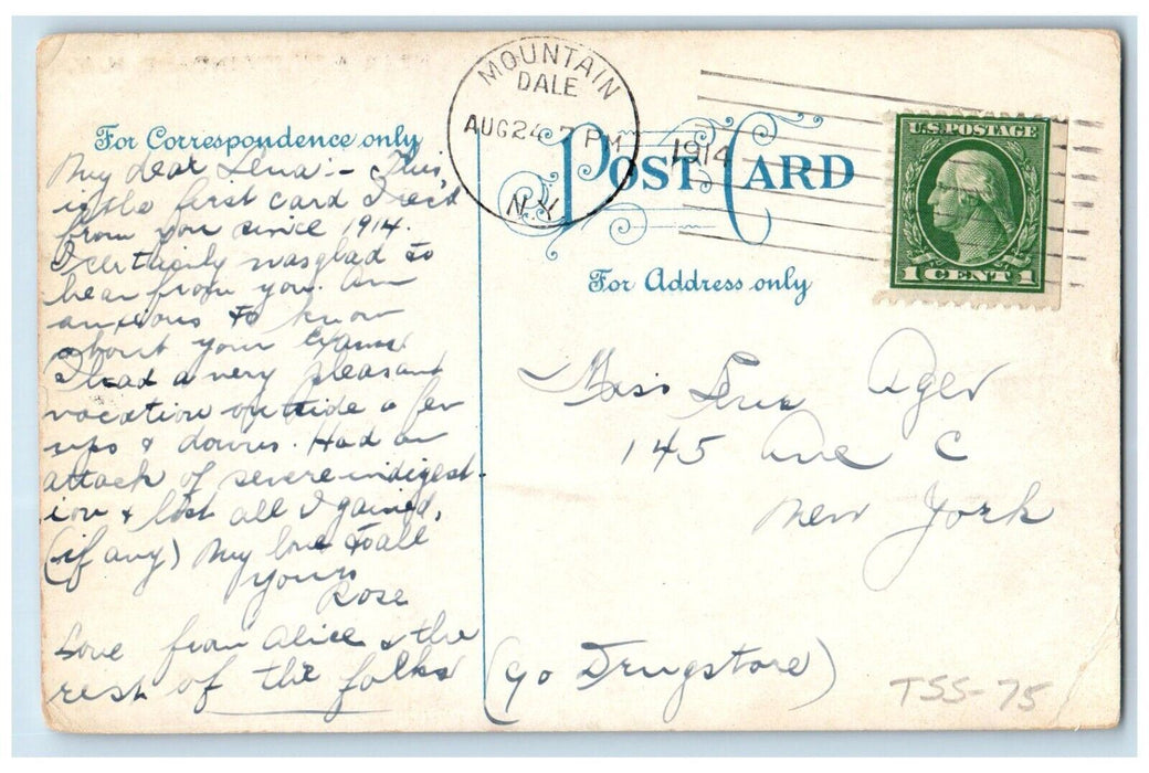 1907 Mountaindale Horse Carriage Harvest Farming Hay Stack New York NY Postcard