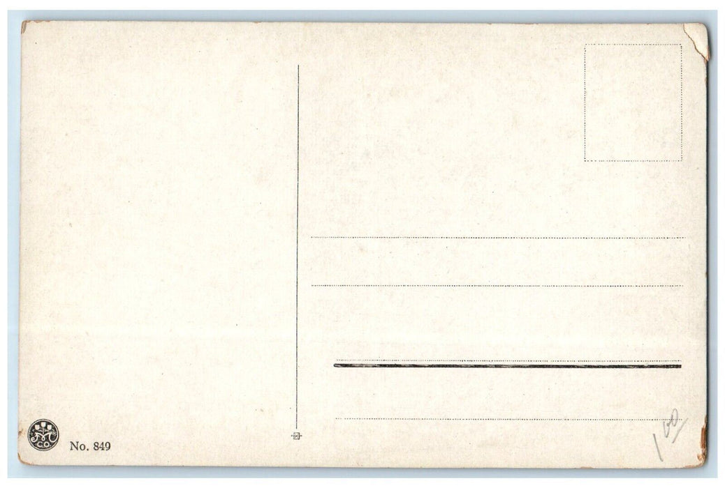c1910 Telemarken Snetunel Dyrskar Snow Tunnel Horse Carriage Norway Postcard
