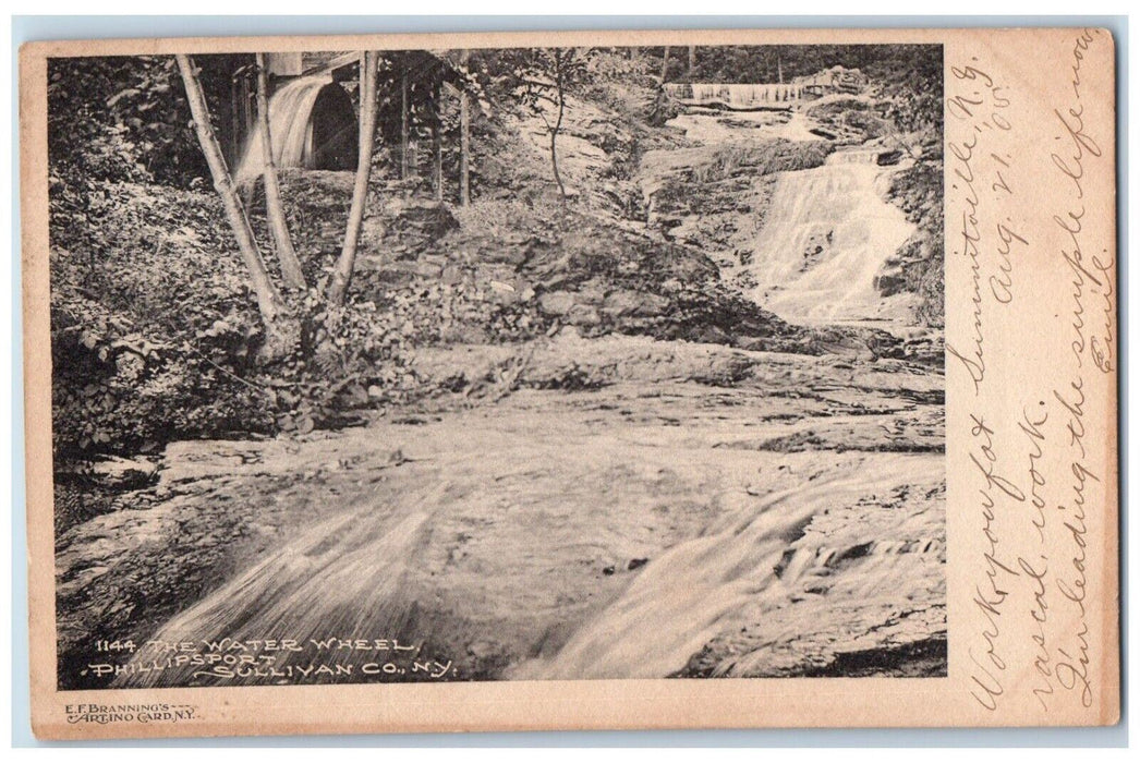 1905 Water Wheel Phillipsport Falls Lake River Sullivan Co. New York NY Postcard