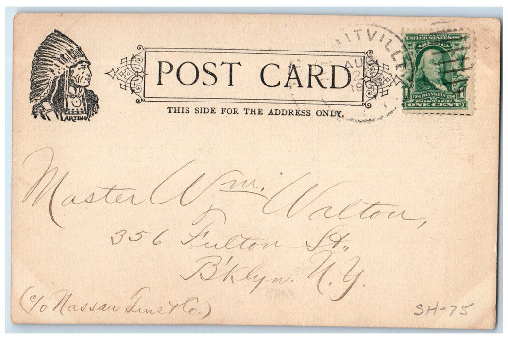 1905 Water Wheel Phillipsport Falls Lake River Sullivan Co. New York NY Postcard
