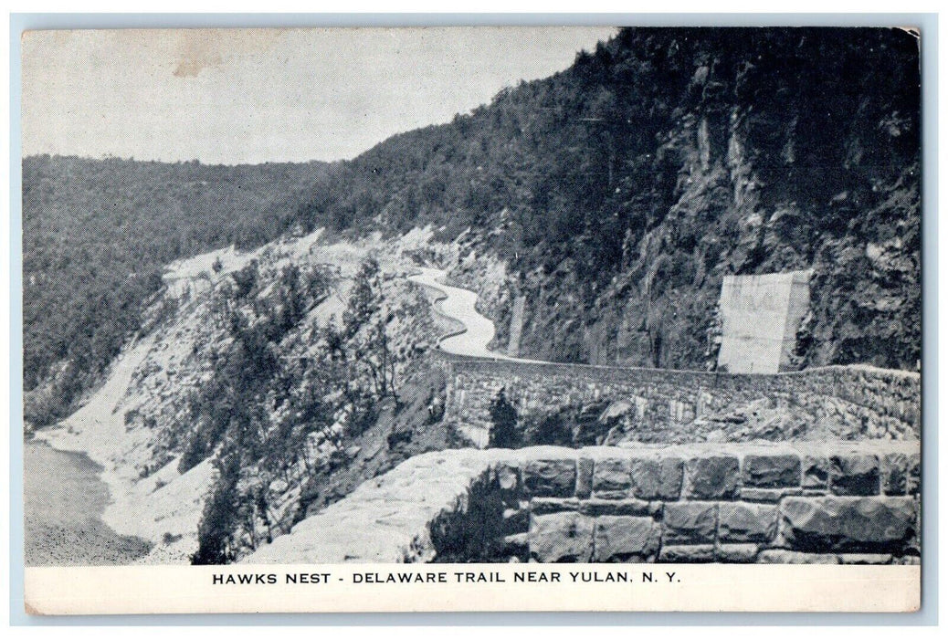 1955 Hawks Nest Delaware Trail Road Street Mountain Near Yulan New York Postcard