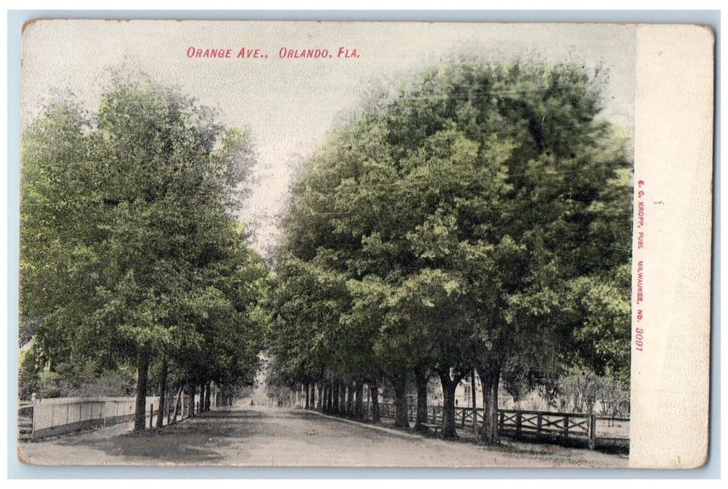 c1905 View Of Orange Avenue Orlando Florida FL Unposted Antique Postcard