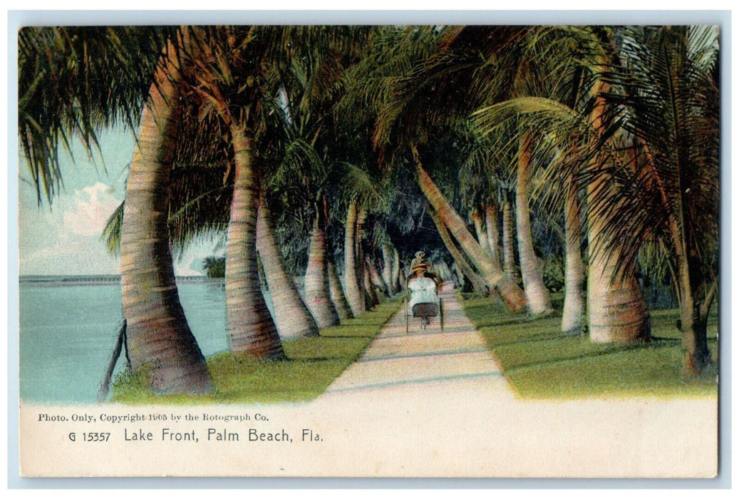 c1910 Trees Horse Carriage Lake Front Palm Beach Florida FL Postcard