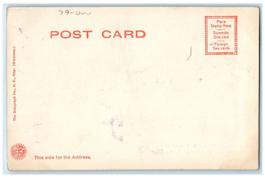 1904 Live Oak on St. John's River Florida FL Antique Rotograph Co. Postcard