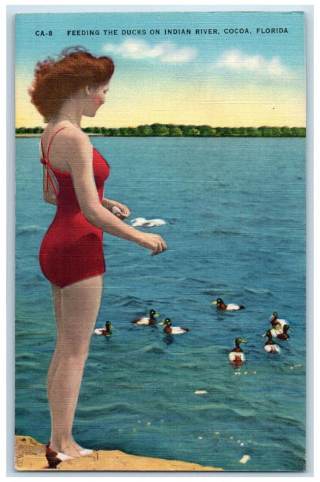 c1950's Feeding Ducks Indian River Cocoa FL Girl Bathing Swimsuit Postcard