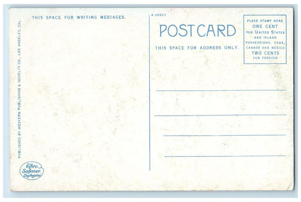 c1910 Amphitheatre Avalon Catalina Island California CA Unposted Postcard