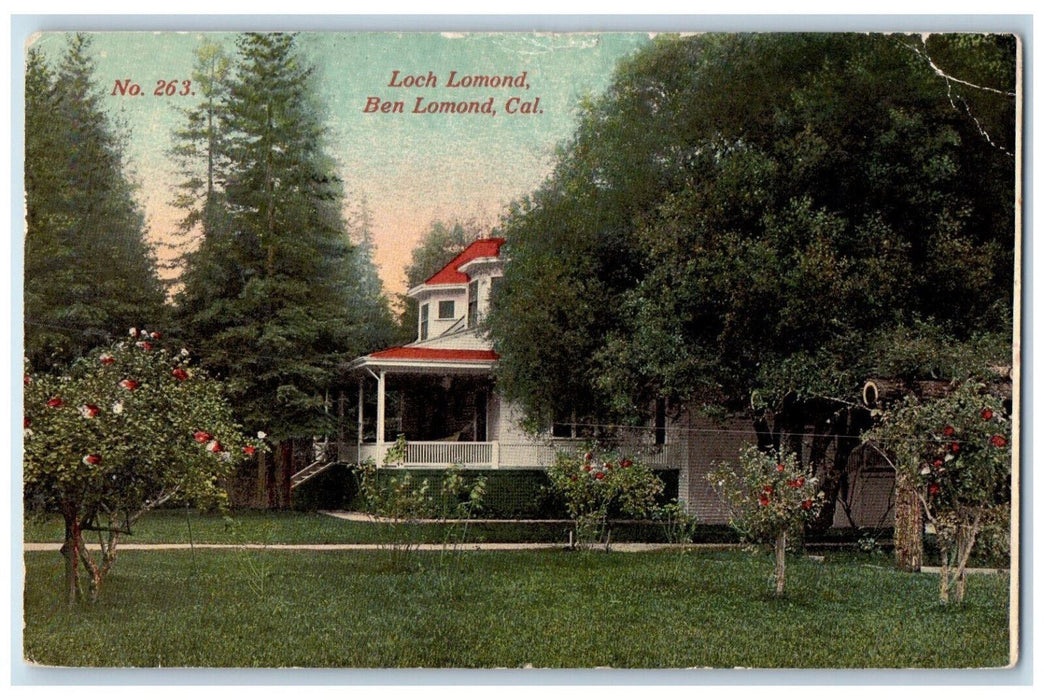 1925 Tree Fruit Loch Lomond Ben Lomond California CA Antique Posted Postcard